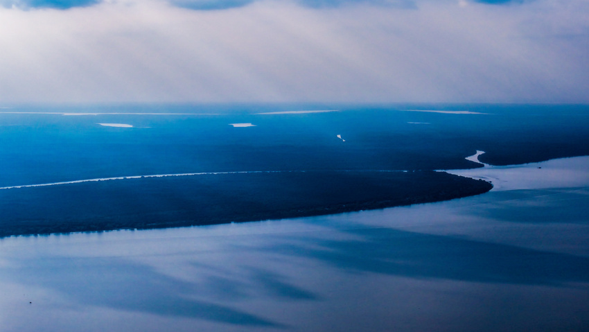 The Sundarbans is the largest mangrove forest in the world