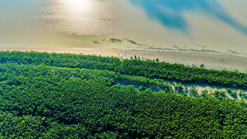 The allure of this green kingdom is endless